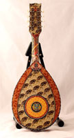 Chinese Mandolin (Back)